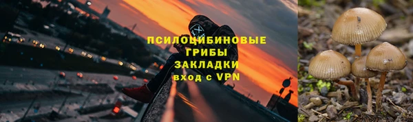 экстази Новодвинск