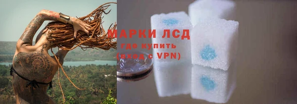 дмт Новокубанск