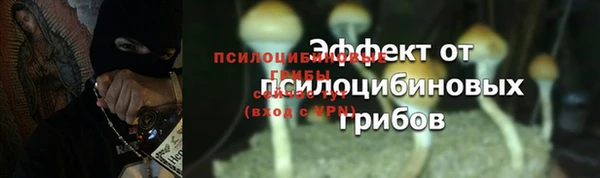 mdpv Нязепетровск