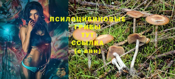 дмт Новокубанск