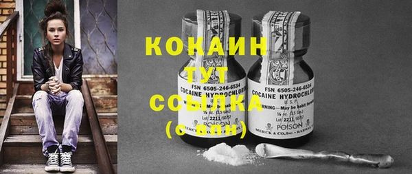 дмт Новокубанск