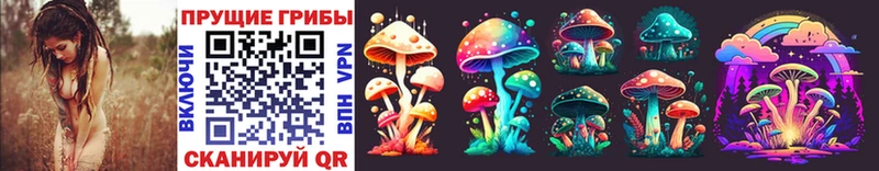 Псилоцибиновые грибы Psilocybine cubensis Кизел